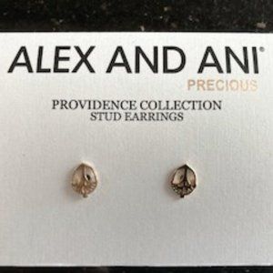 Alex and Ani Earrings